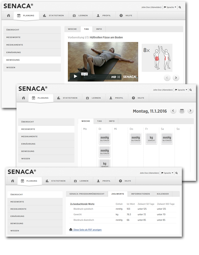 SENACA Programm (Preview)